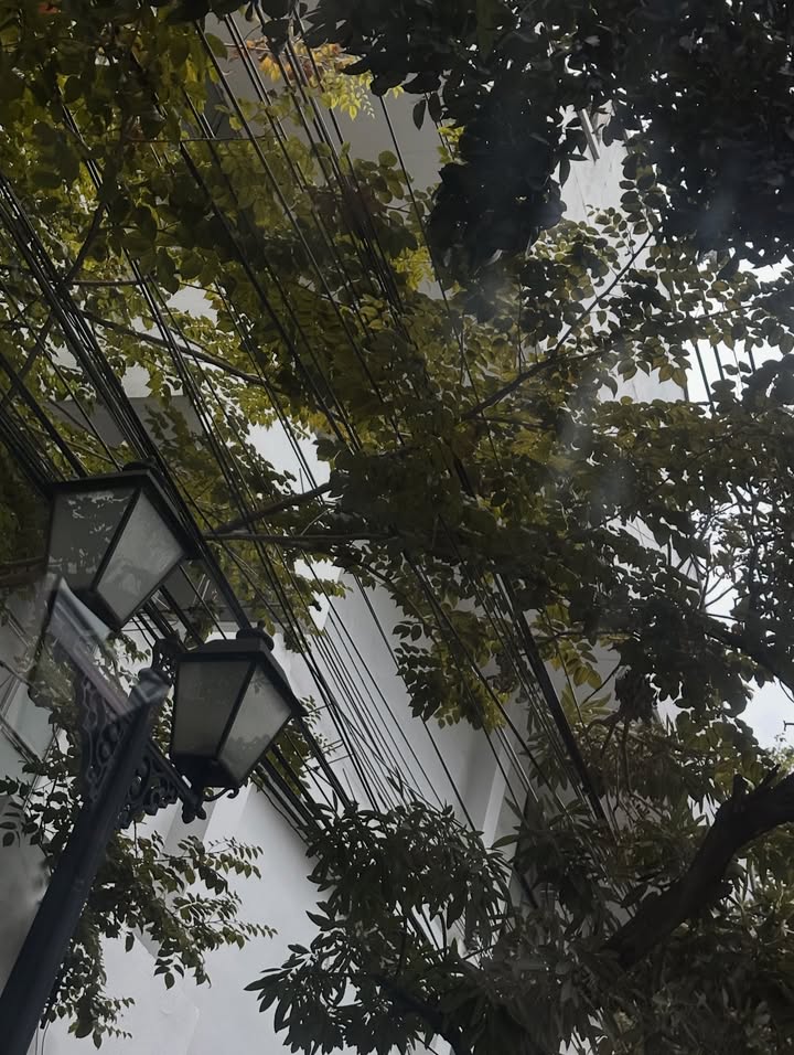 เจฟ - วรกมล ซาเตอร์