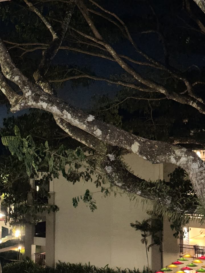 เจฟ - วรกมล ซาเตอร์