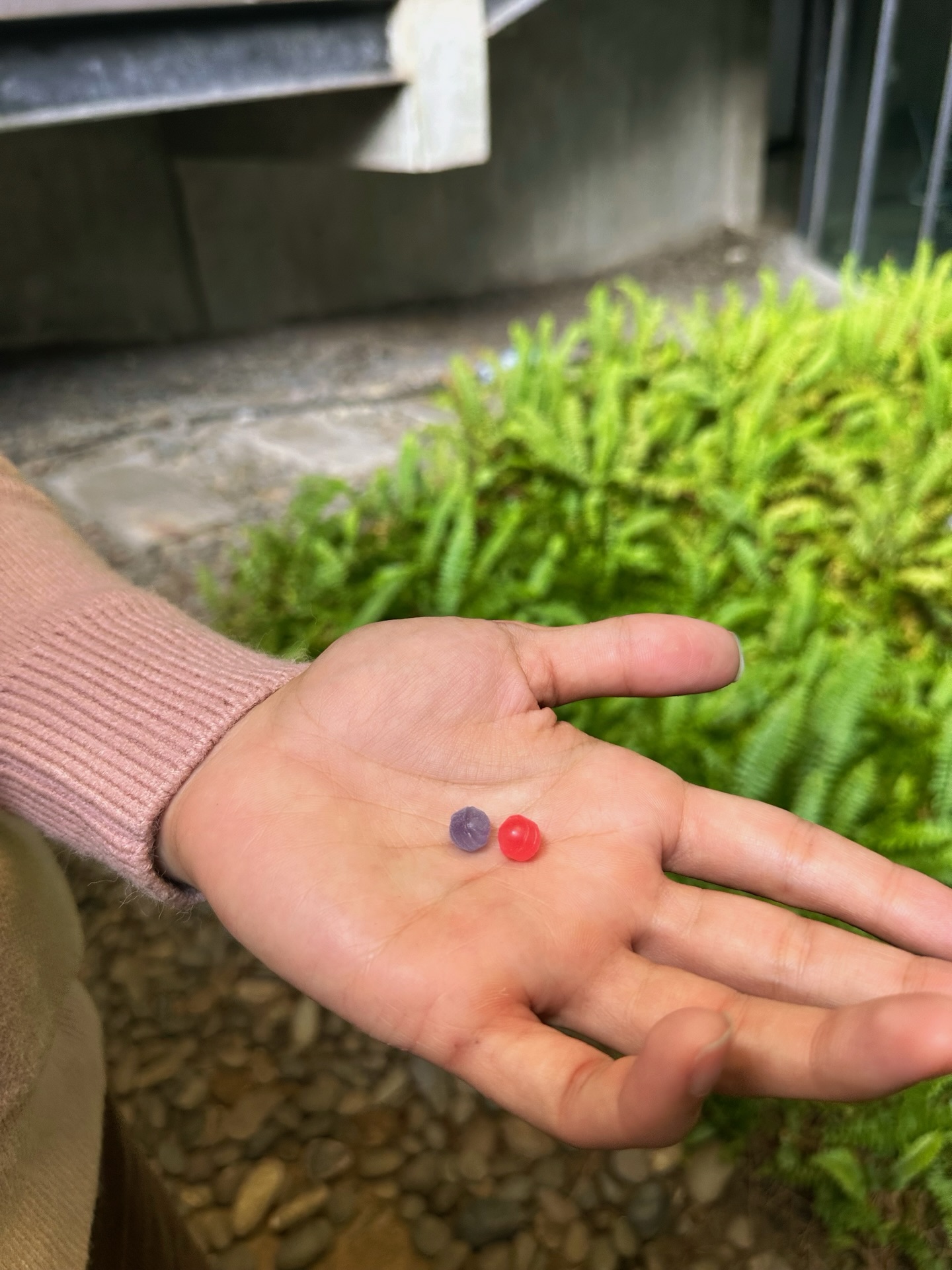 เจฟ - วรกมล ซาเตอร์