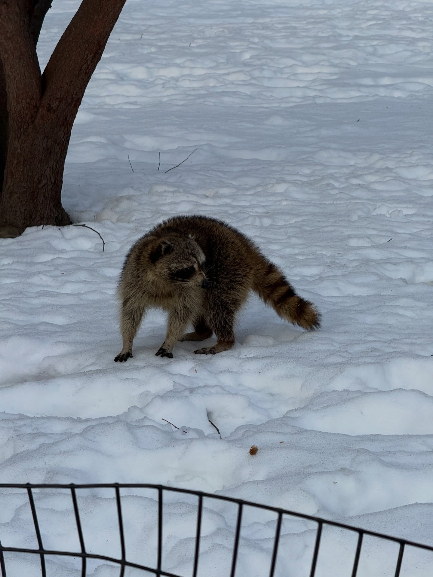 เจฟ - วรกมล ซาเตอร์