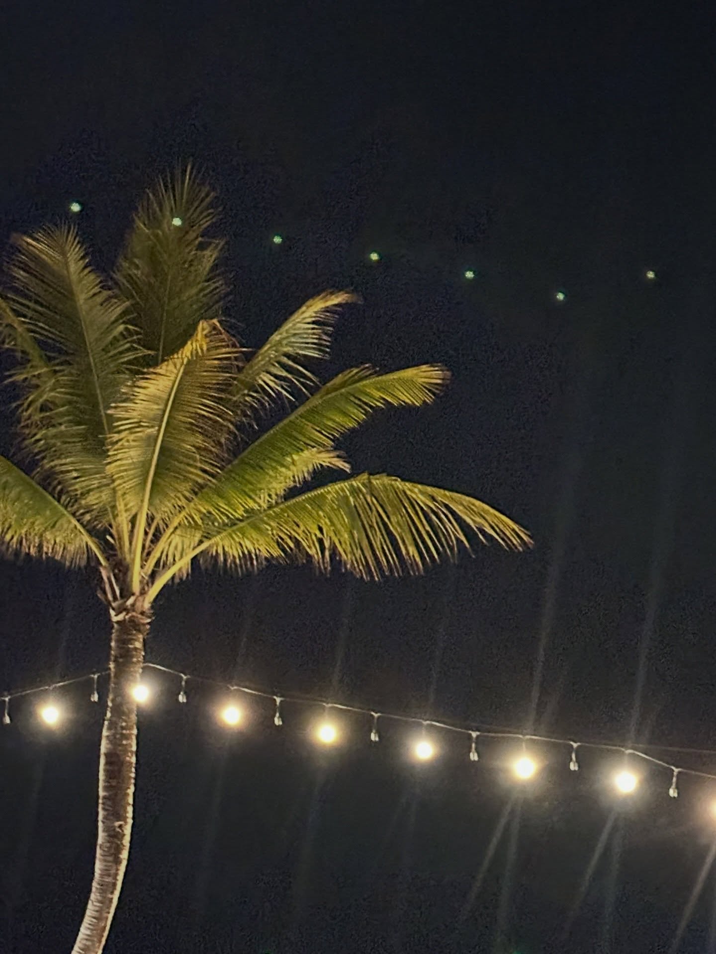 เจฟ - วรกมล ซาเตอร์