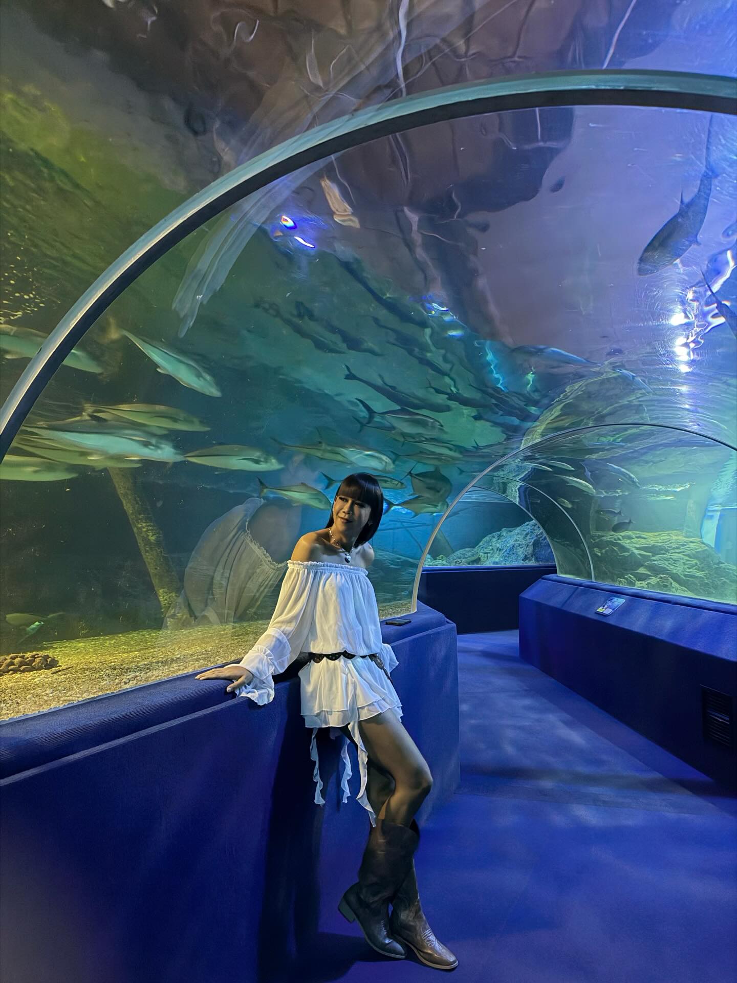 เจนนี่ ปาหนัน