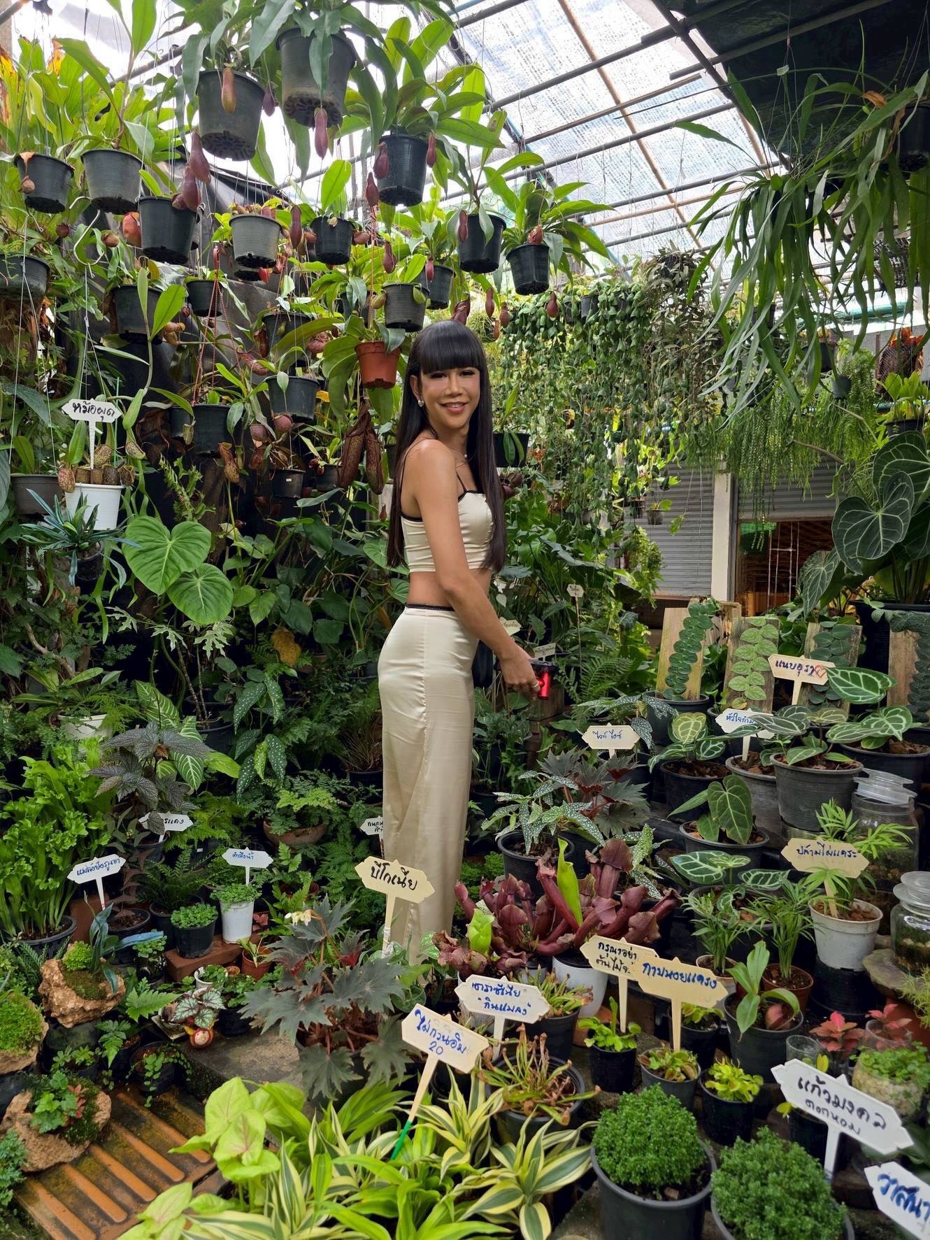 เจนนี่ ปาหนัน