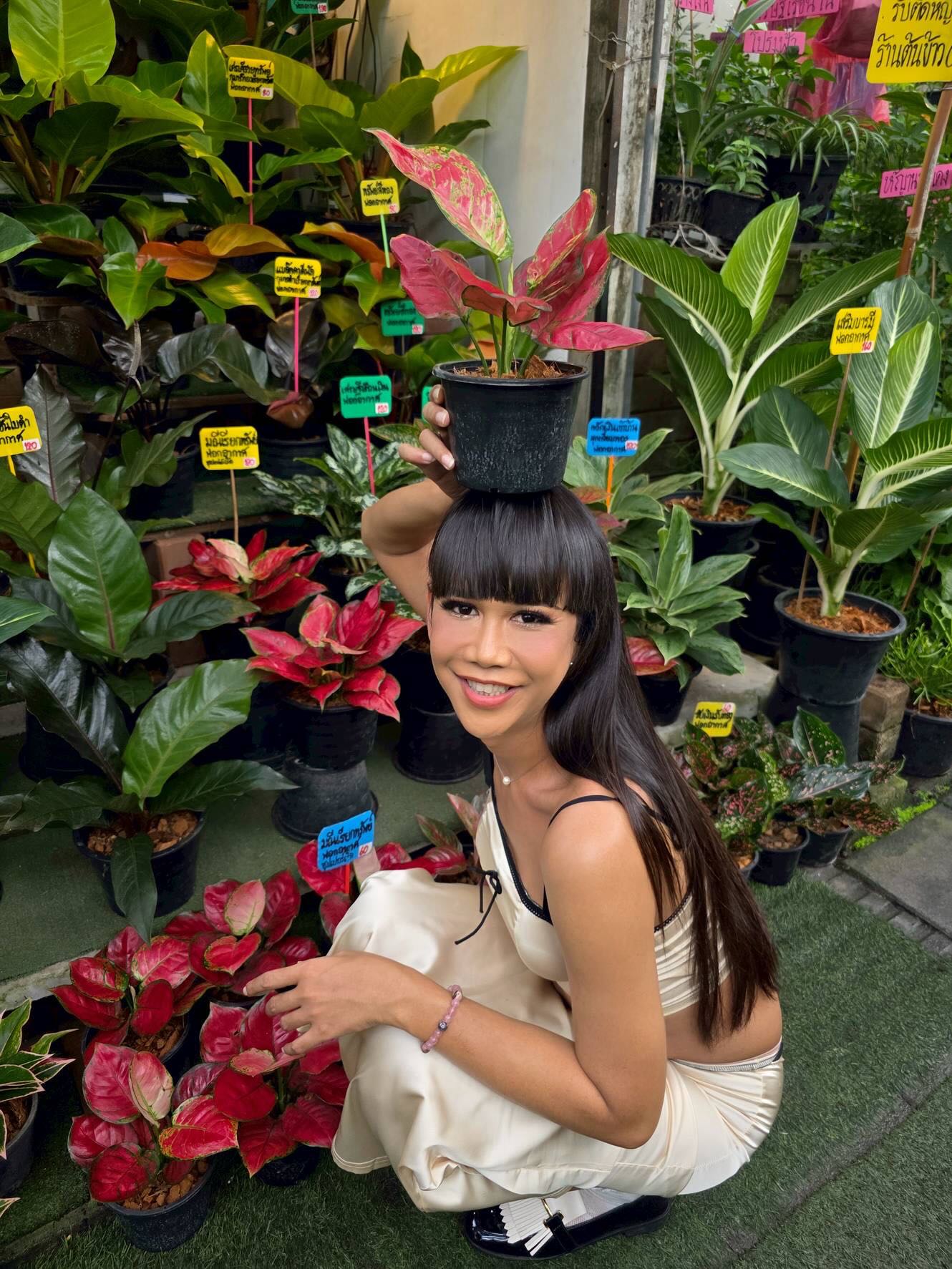 เจนนี่ ปาหนัน