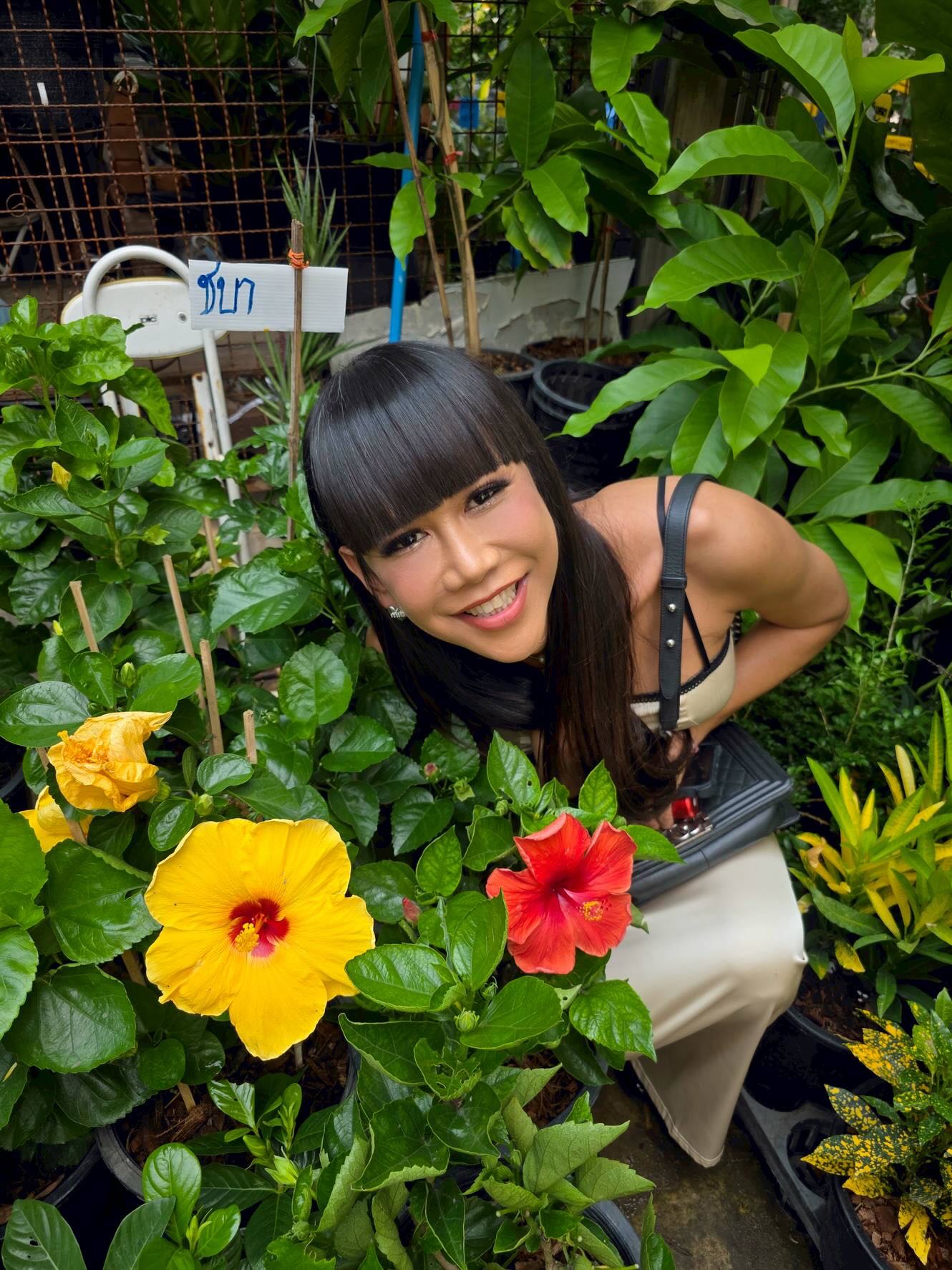 เจนนี่ ปาหนัน