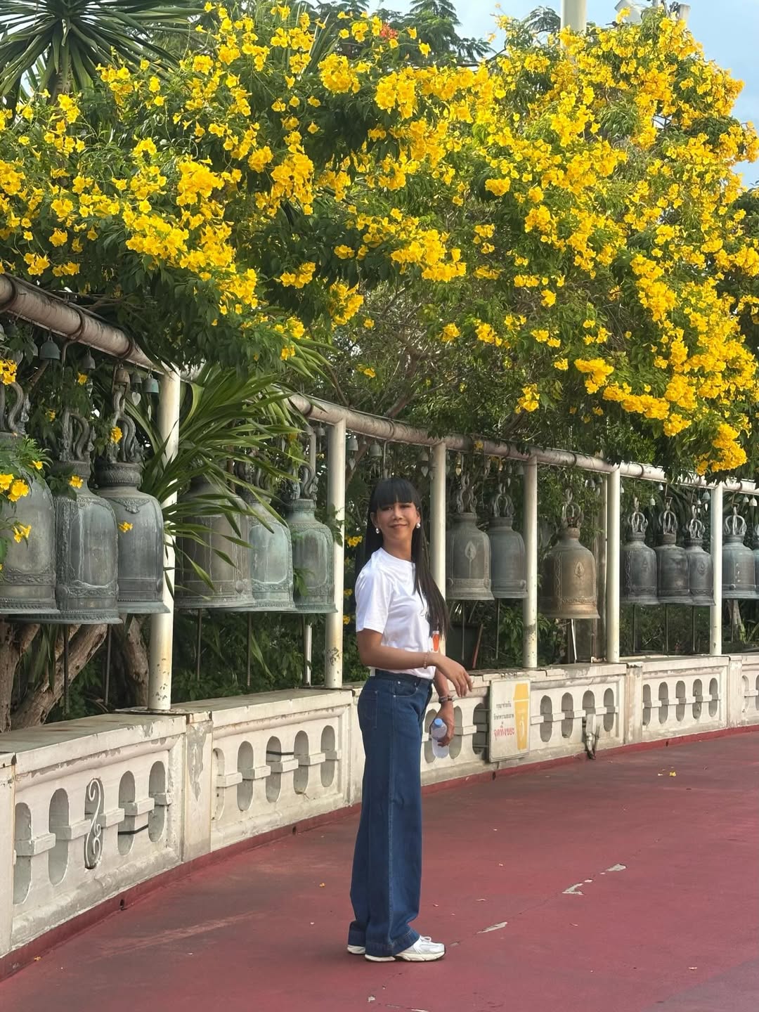 เจนนี่ ปาหนัน