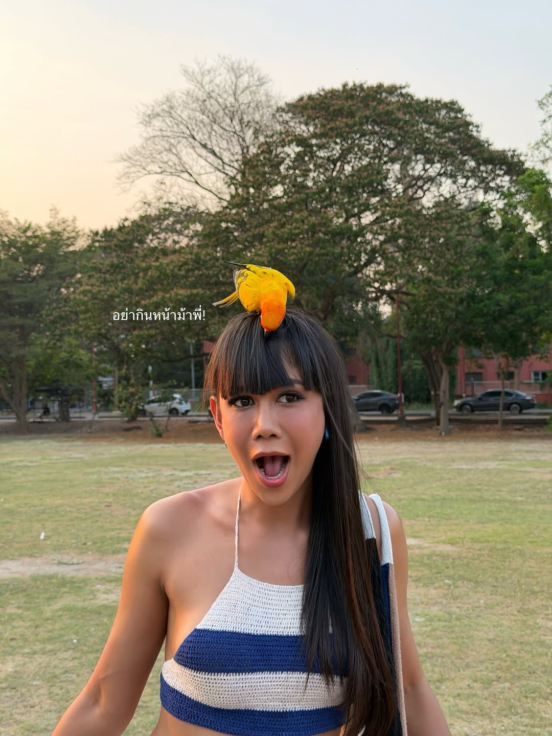 เจนนี่ ปาหนัน