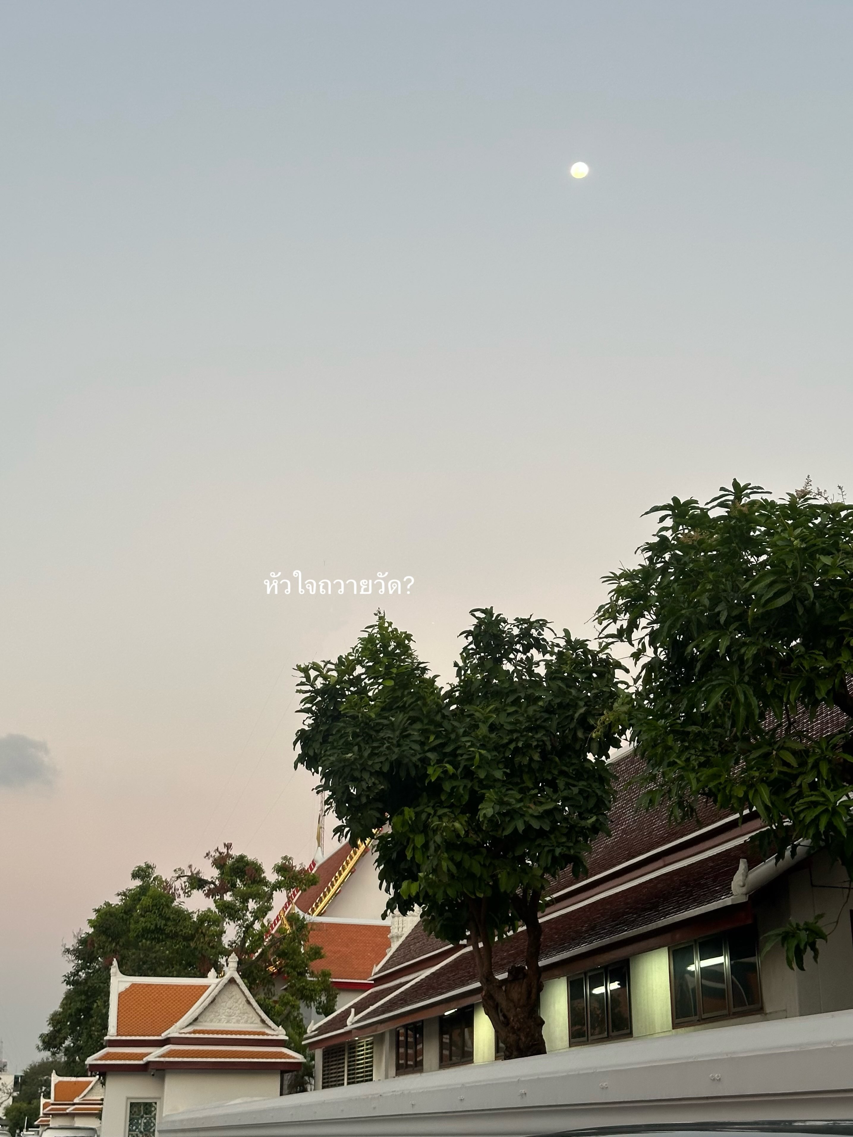 เจนนี่ ปาหนัน