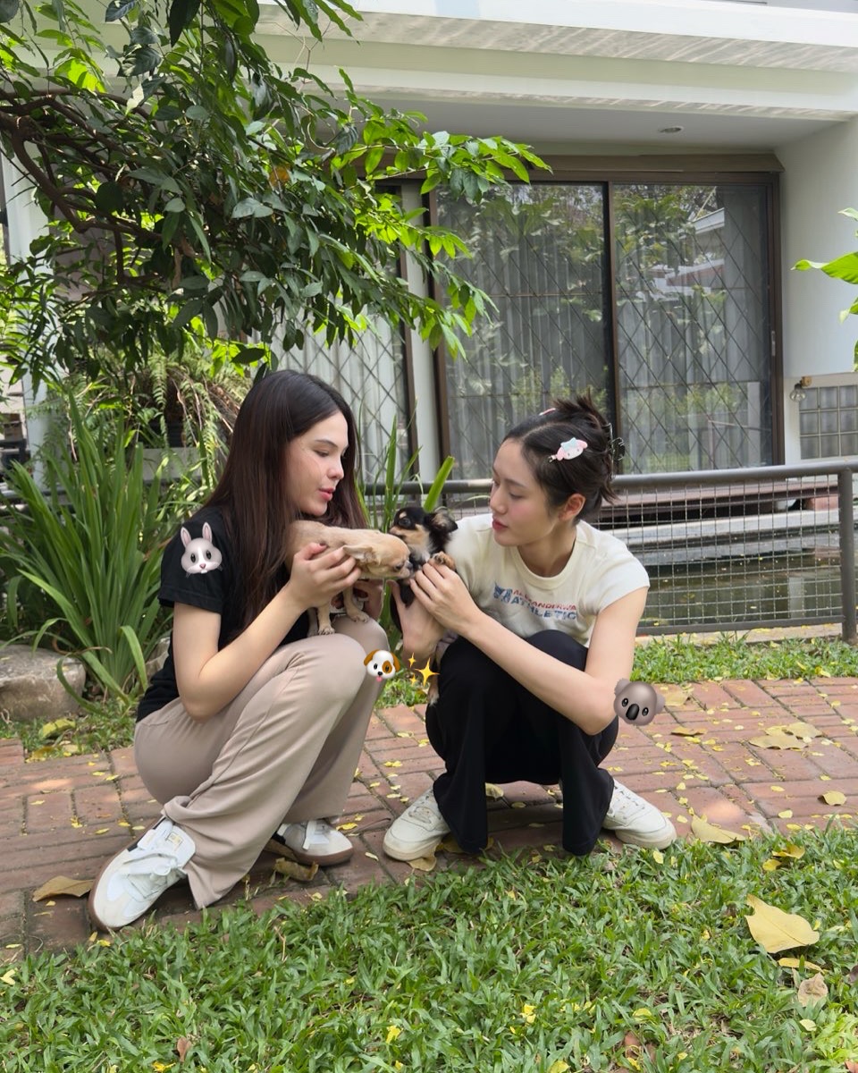 ลูกหมี - ปัญญาพัชร วังพงศ์สถาพร