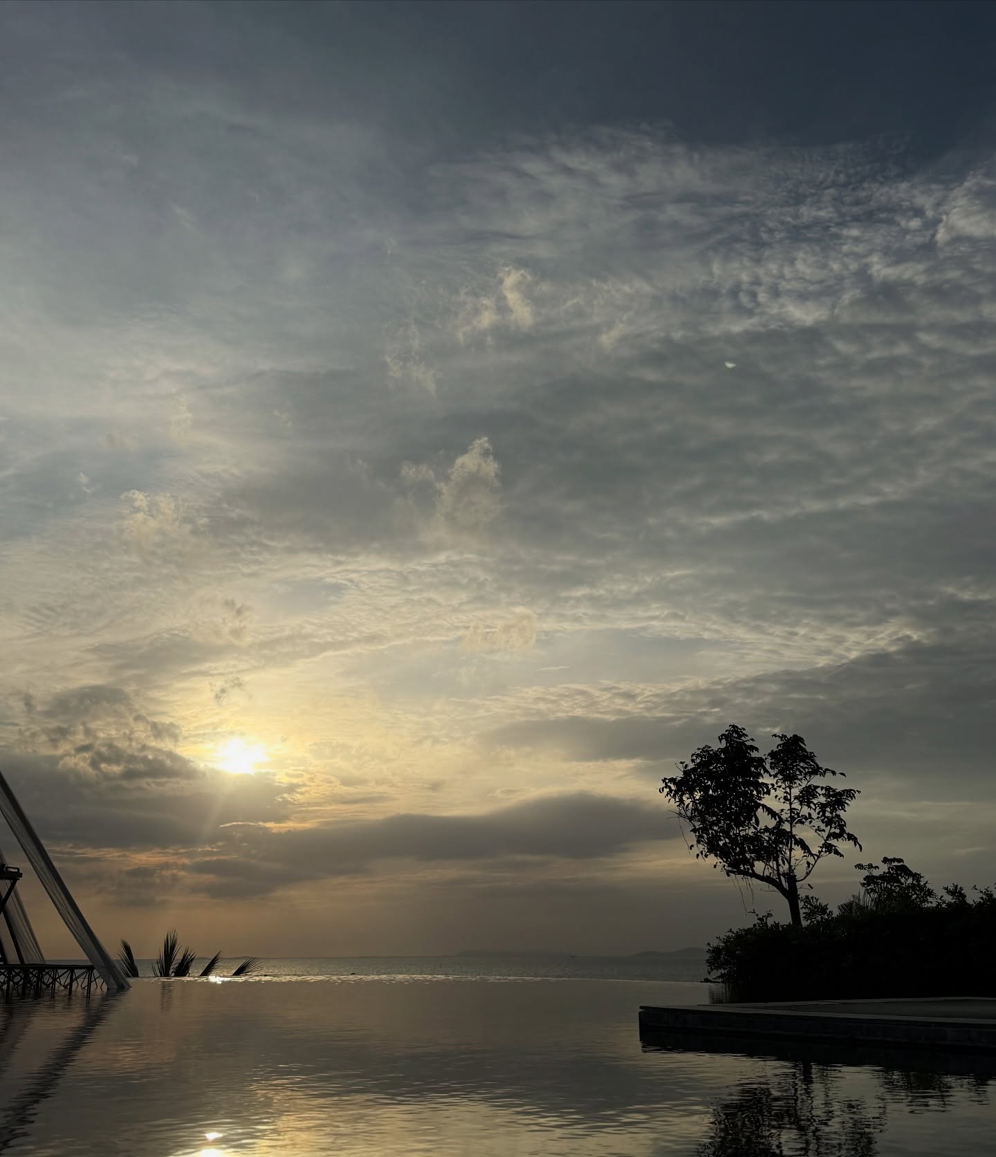 ลูกหมี - ปัญญาพัชร วังพงศ์สถาพร