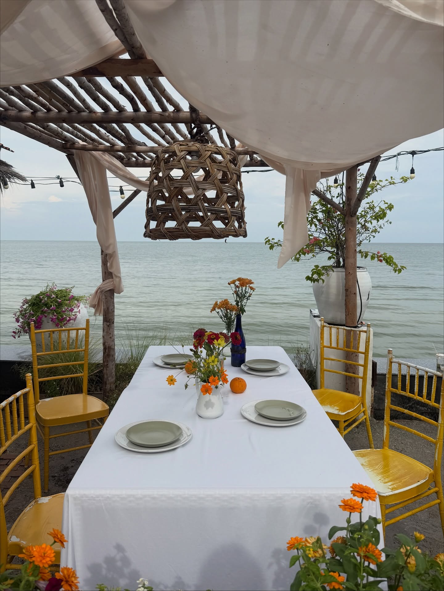 ลูกหมี - ปัญญาพัชร วังพงศ์สถาพร