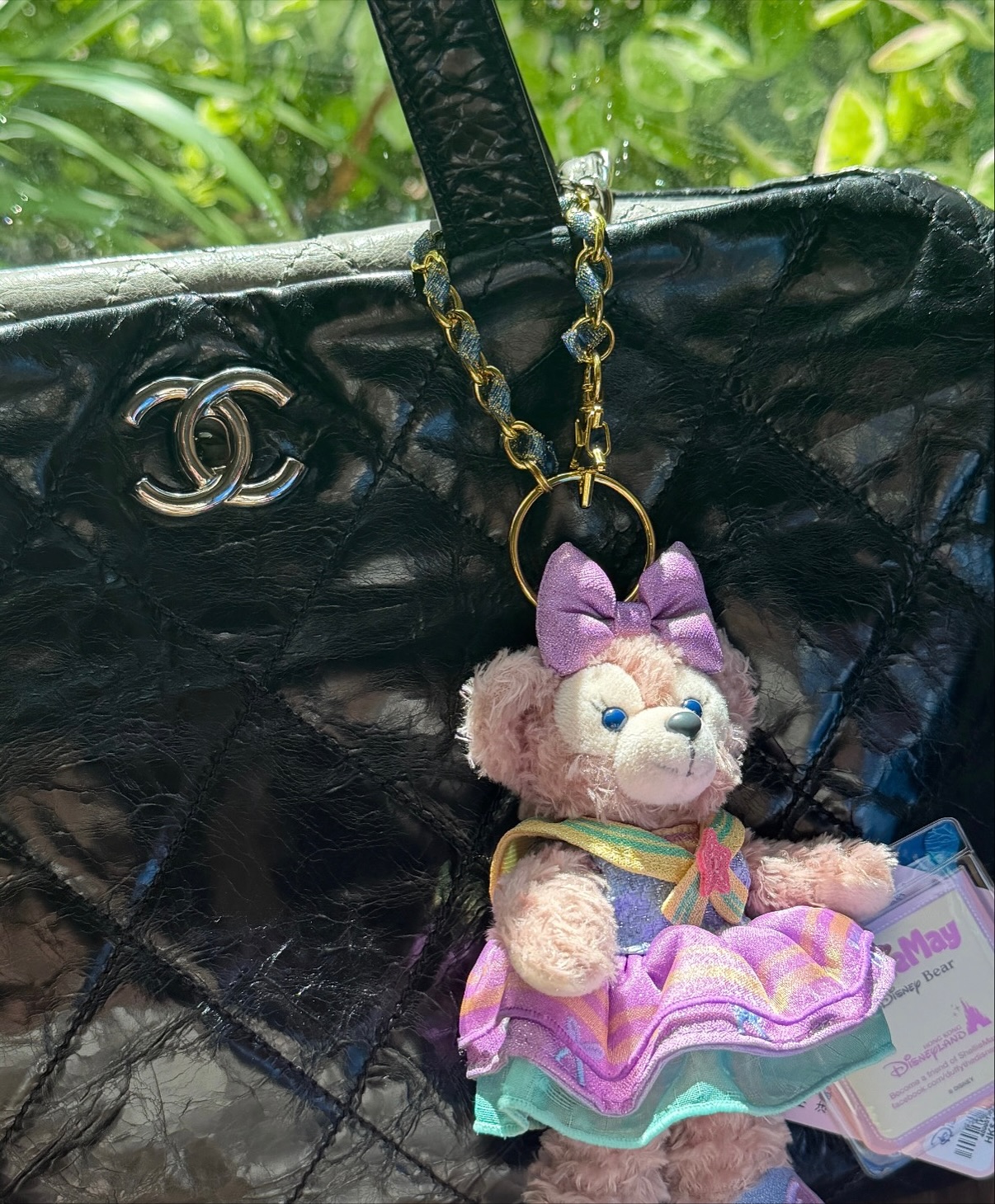 ลูกหมี - ปัญญาพัชร วังพงศ์สถาพร