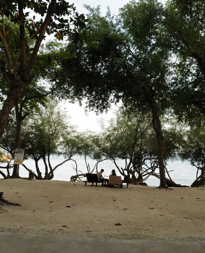 ลูกหมี - ปัญญาพัชร วังพงศ์สถาพร