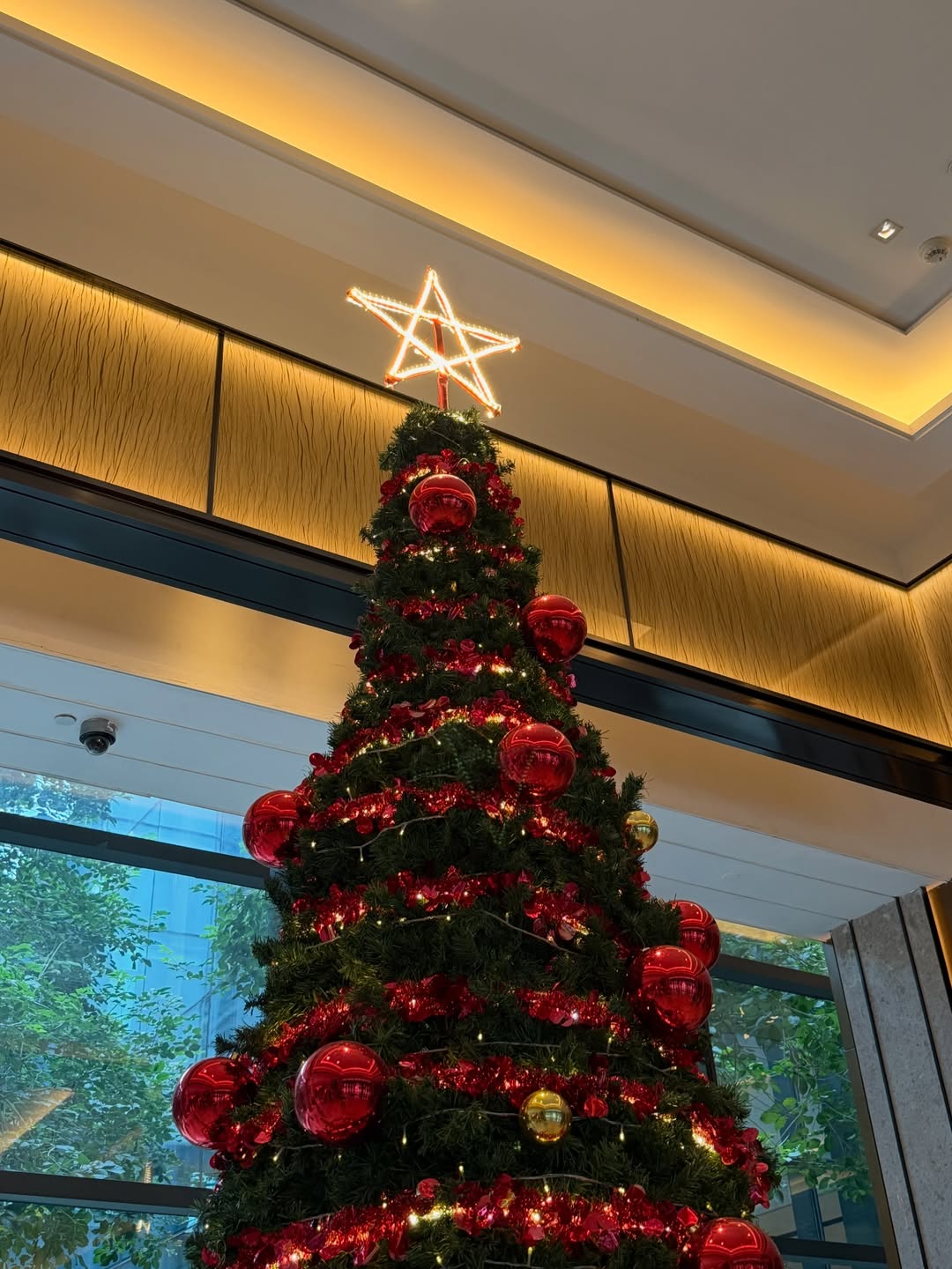 ลูกหมี - ปัญญาพัชร วังพงศ์สถาพร