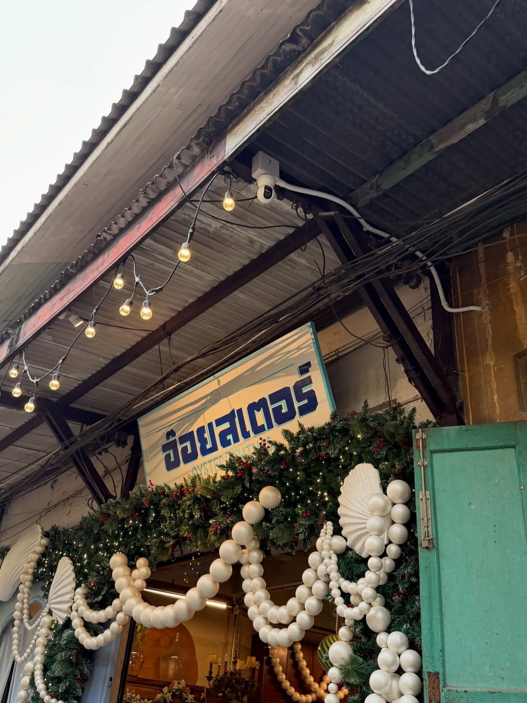 ลูกหมี - ปัญญาพัชร วังพงศ์สถาพร