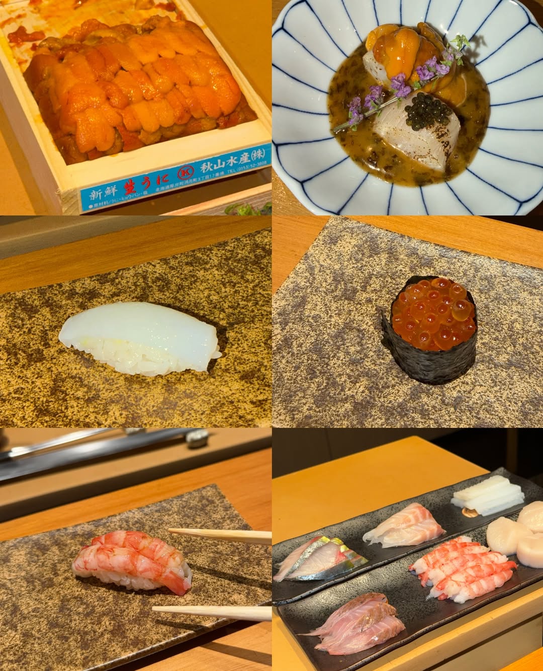 ลูกหมี - ปัญญาพัชร วังพงศ์สถาพร