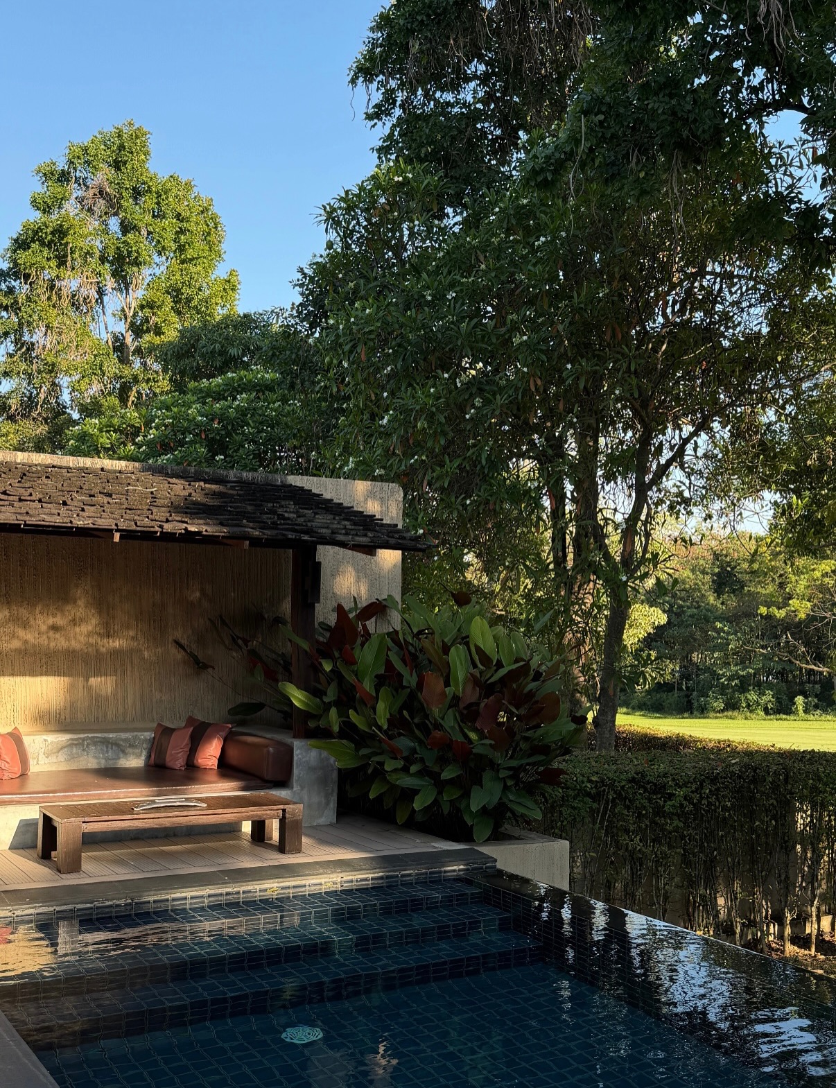 ลูกหมี - ปัญญาพัชร วังพงศ์สถาพร