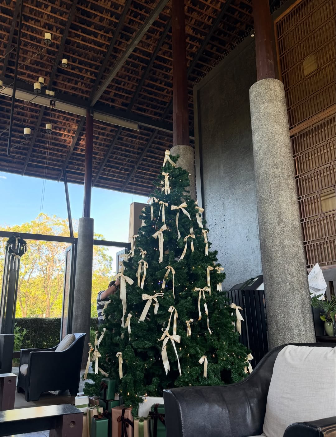 ลูกหมี - ปัญญาพัชร วังพงศ์สถาพร