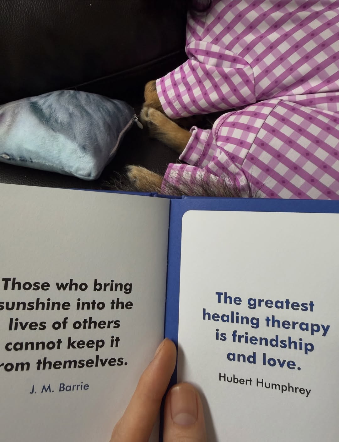 ลูกหมี - ปัญญาพัชร วังพงศ์สถาพร