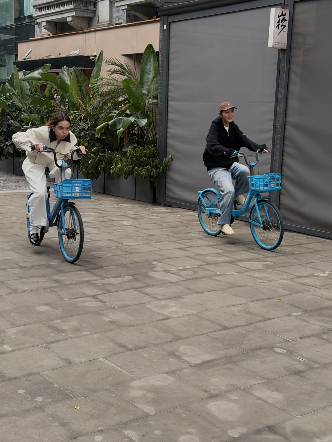 ลูกหมี - ปัญญาพัชร วังพงศ์สถาพร