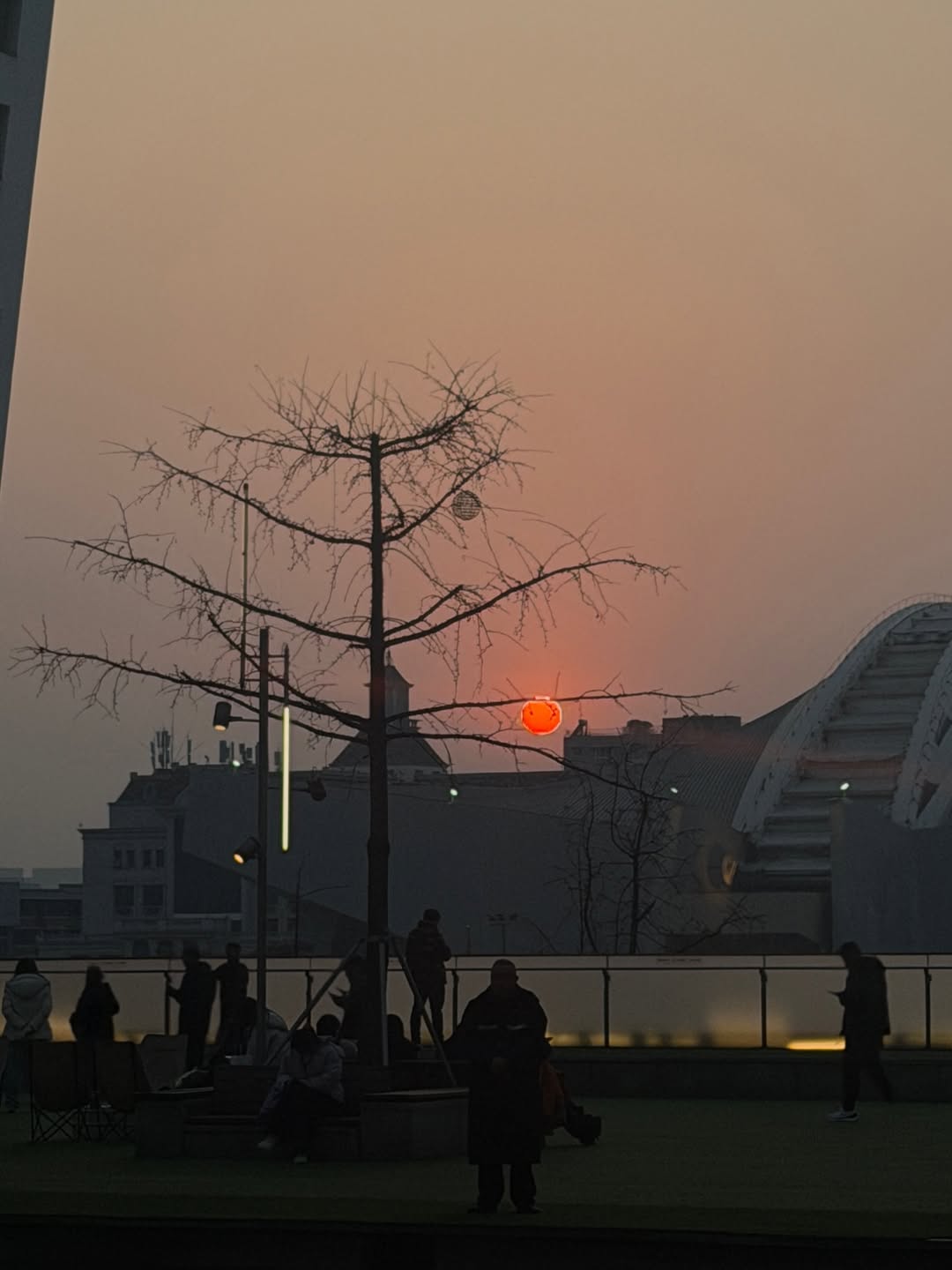 ลูกหมี - ปัญญาพัชร วังพงศ์สถาพร