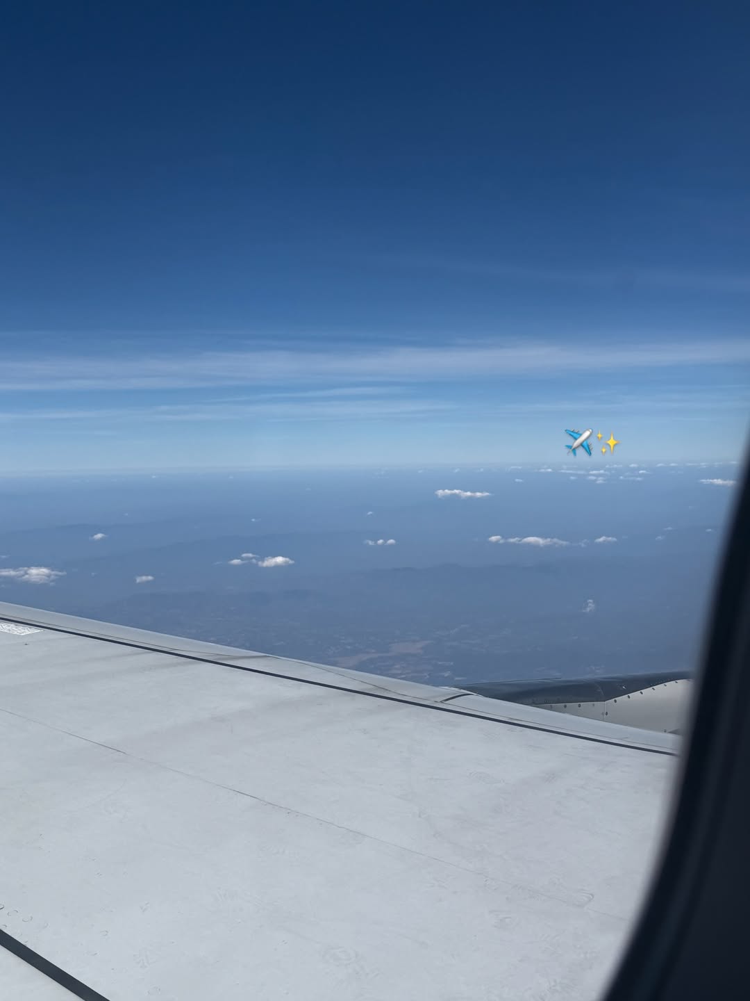 ลูกหมี - ปัญญาพัชร วังพงศ์สถาพร