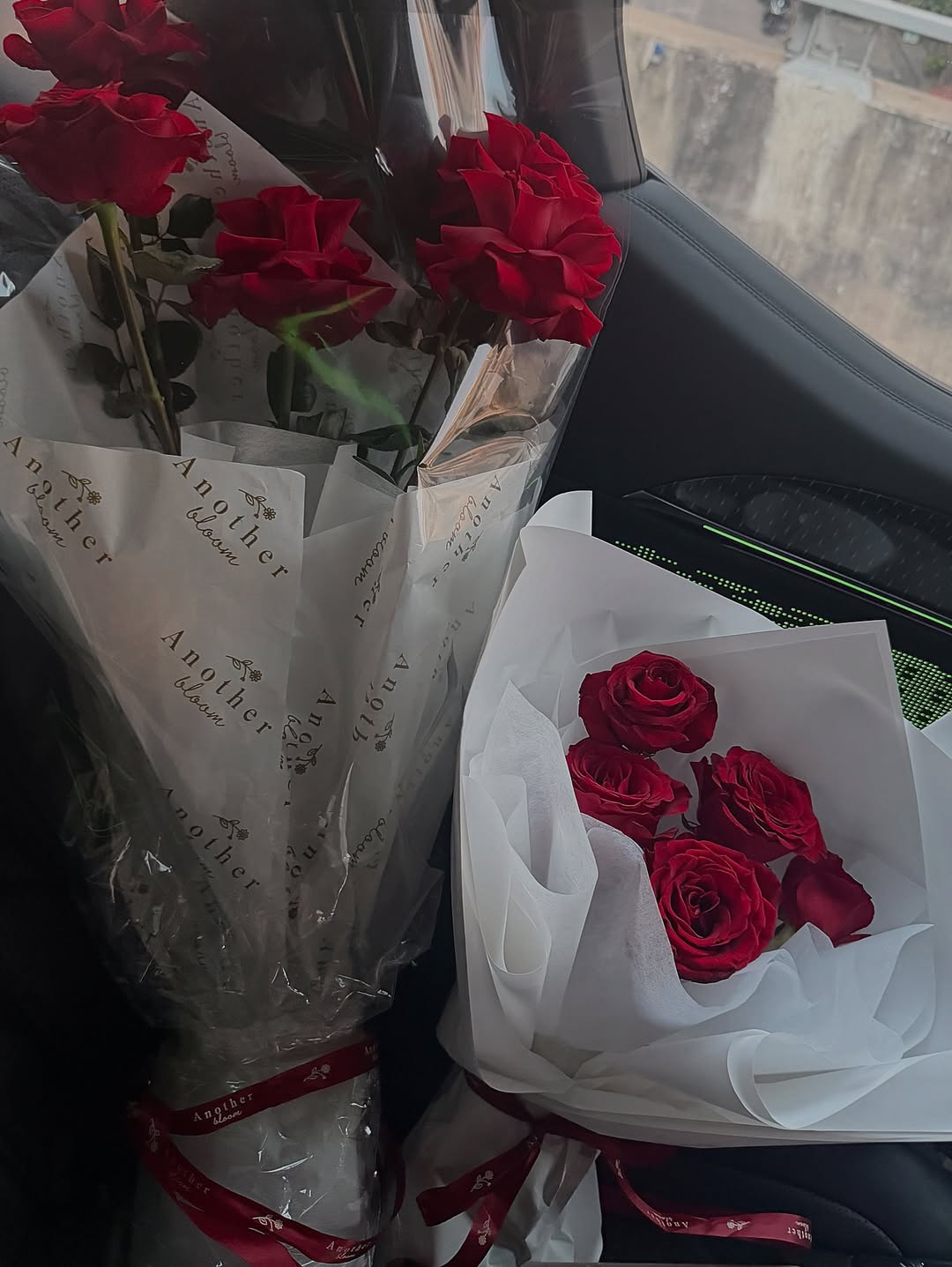 ลูกหมี - ปัญญาพัชร วังพงศ์สถาพร