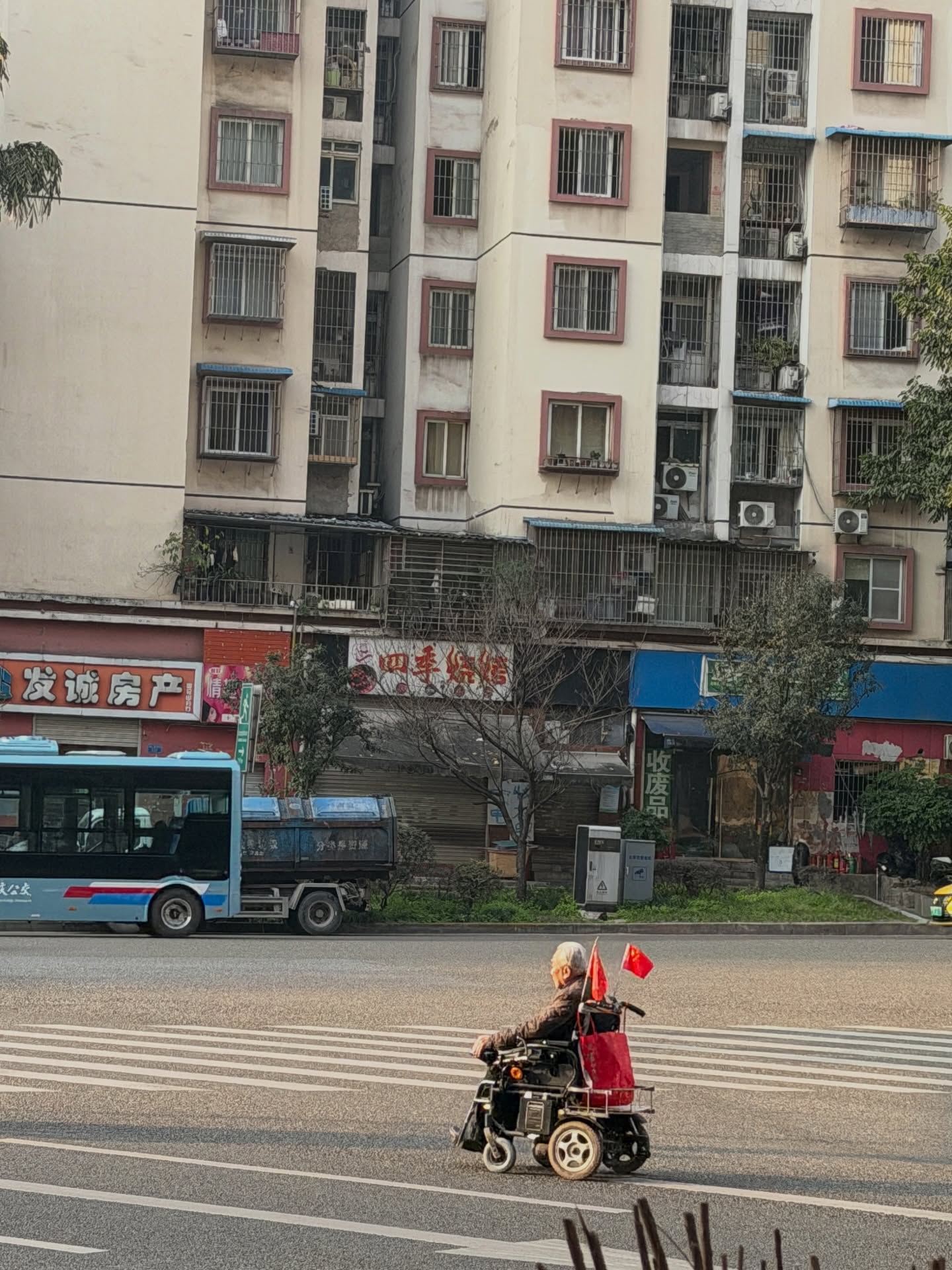 ลูกหมี - ปัญญาพัชร วังพงศ์สถาพร