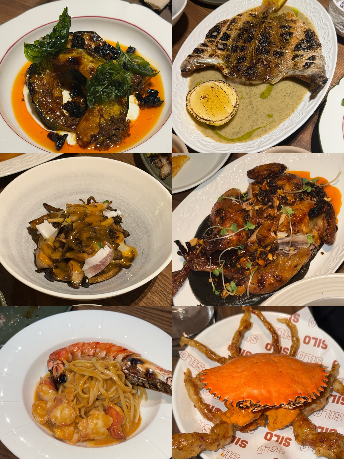 ลูกหมี - ปัญญาพัชร วังพงศ์สถาพร