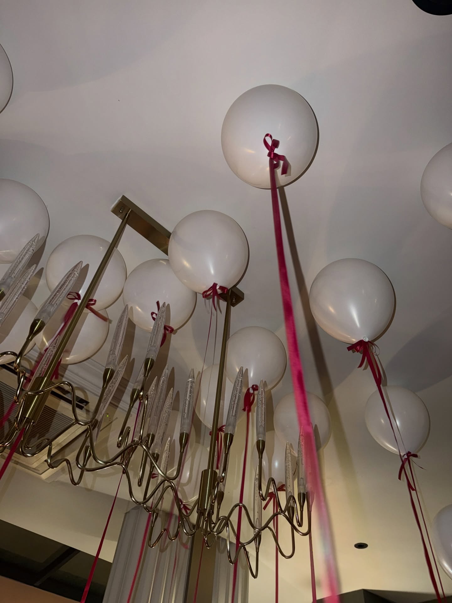 ลูกหมี - ปัญญาพัชร วังพงศ์สถาพร