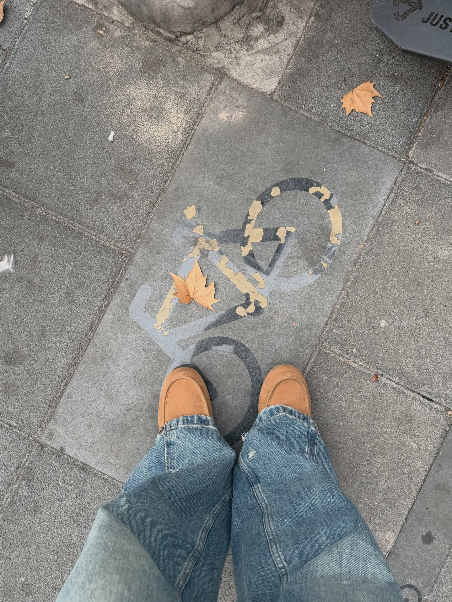 ลูกหมี - ปัญญาพัชร วังพงศ์สถาพร