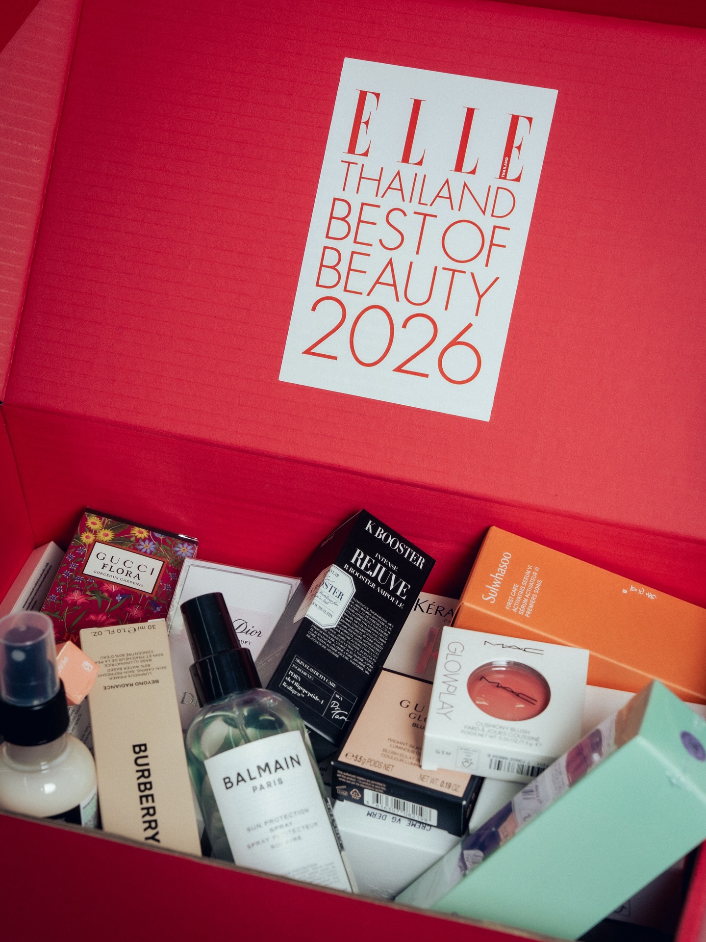 ลูกหมี - ปัญญาพัชร วังพงศ์สถาพร