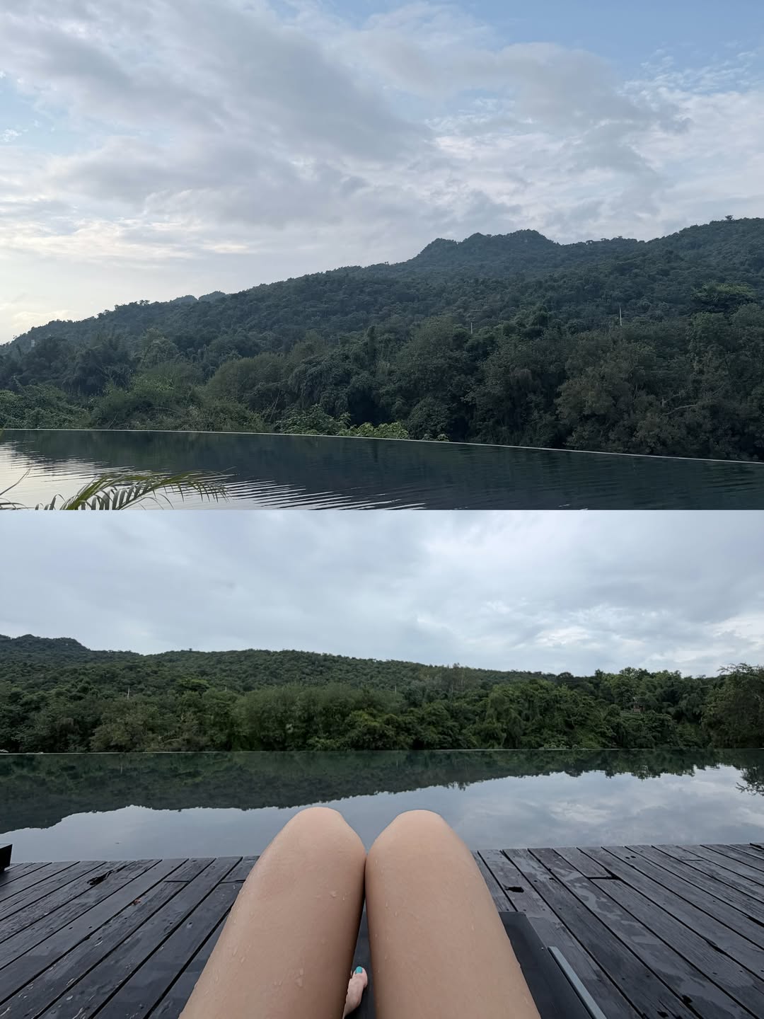 ลูกหมี - ปัญญาพัชร วังพงศ์สถาพร