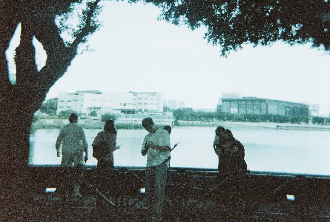 ลูกหมี - ปัญญาพัชร วังพงศ์สถาพร