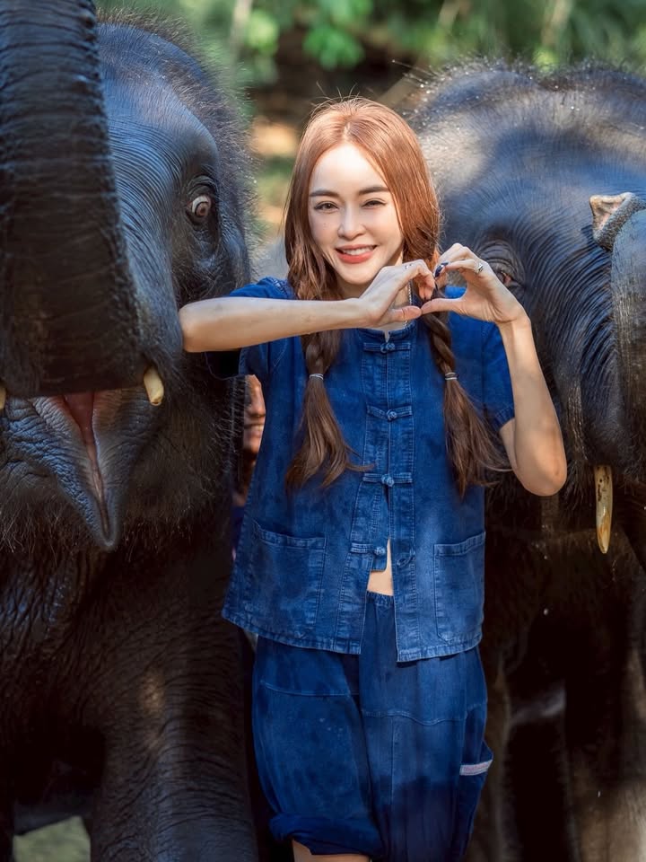 เป้ย - ปานวาด เหมมณี