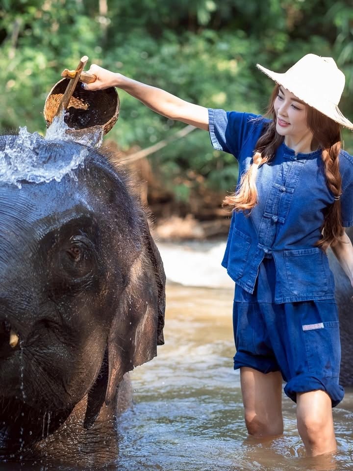 เป้ย - ปานวาด เหมมณี