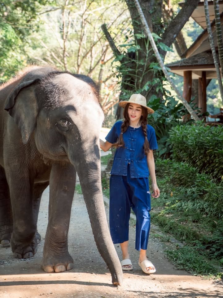 เป้ย - ปานวาด เหมมณี