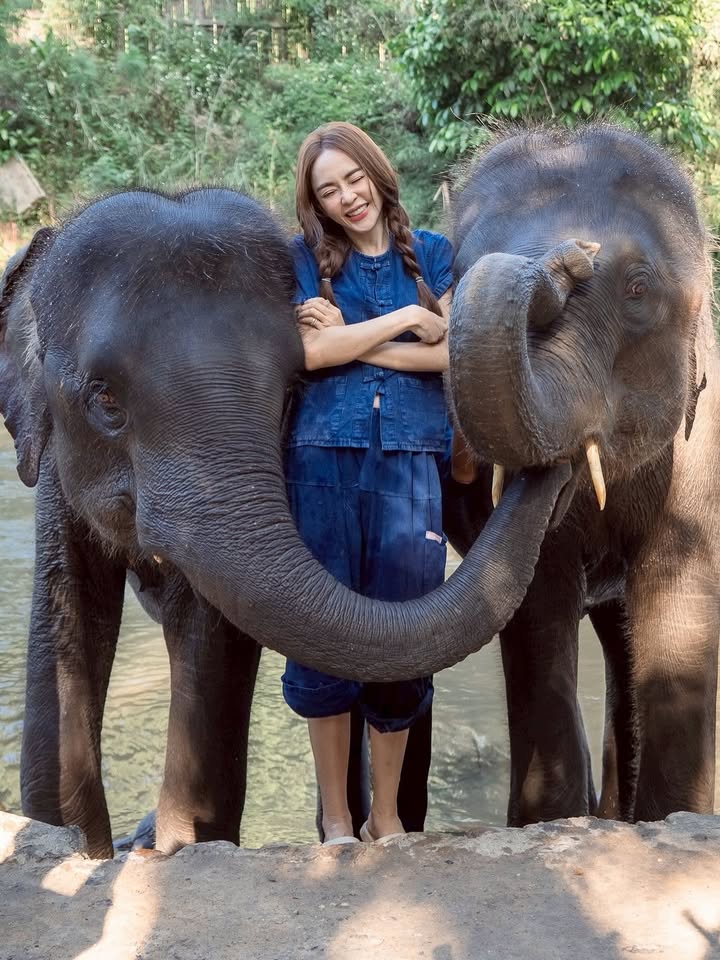 เป้ย - ปานวาด เหมมณี