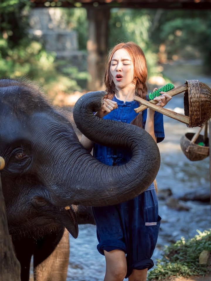 เป้ย - ปานวาด เหมมณี