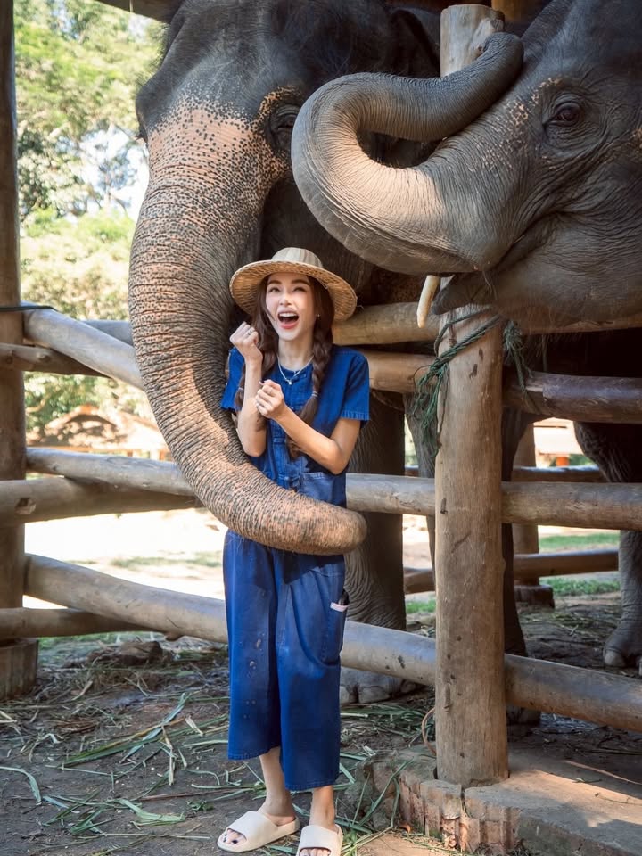 เป้ย - ปานวาด เหมมณี