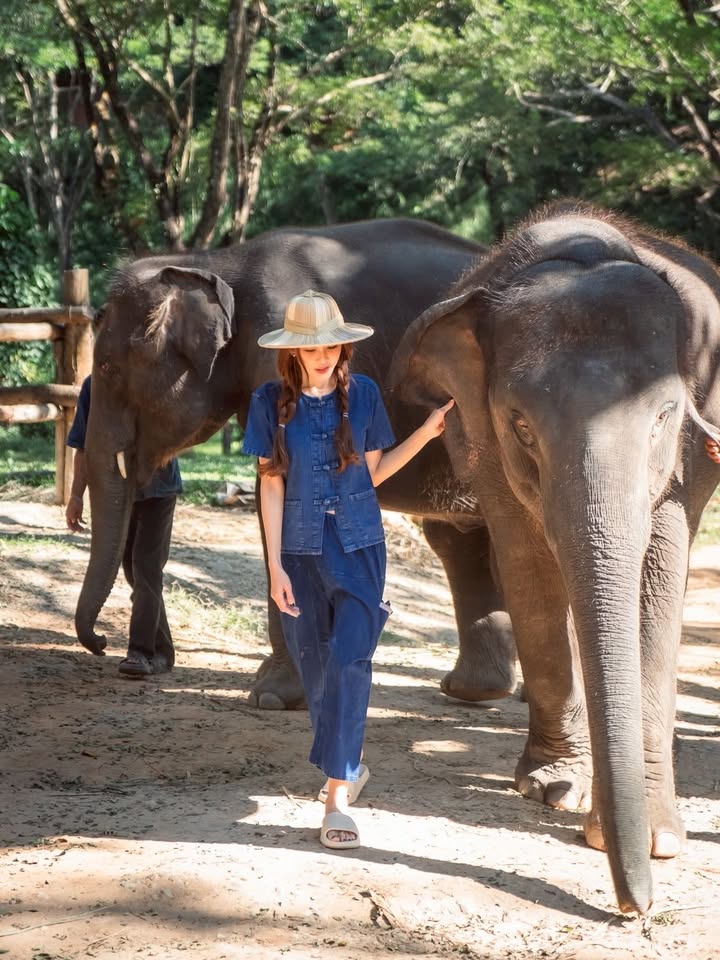 เป้ย - ปานวาด เหมมณี