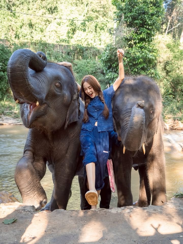 เป้ย - ปานวาด เหมมณี