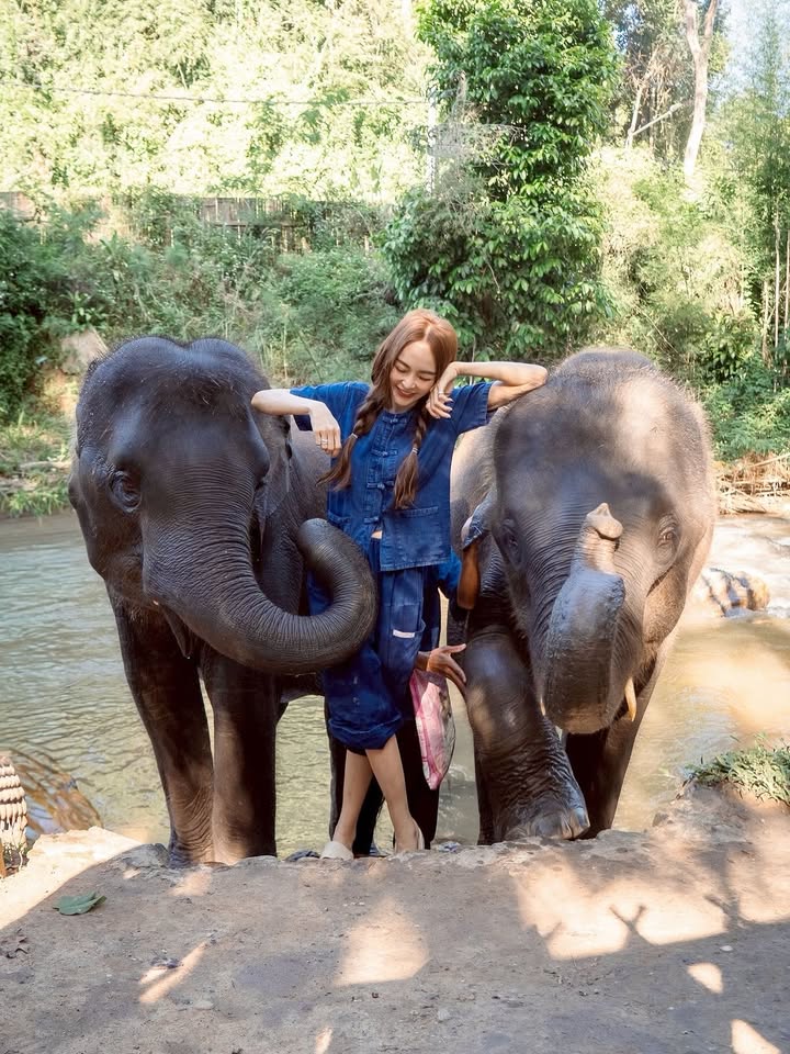 เป้ย - ปานวาด เหมมณี