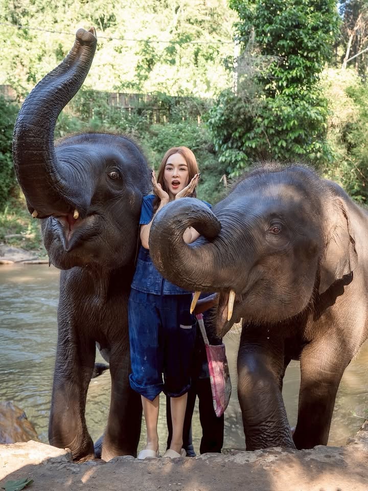 เป้ย - ปานวาด เหมมณี