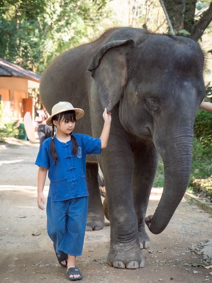 เป้ย - ปานวาด เหมมณี