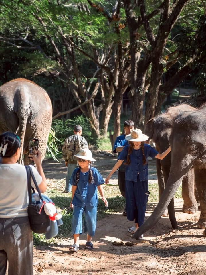 เป้ย - ปานวาด เหมมณี