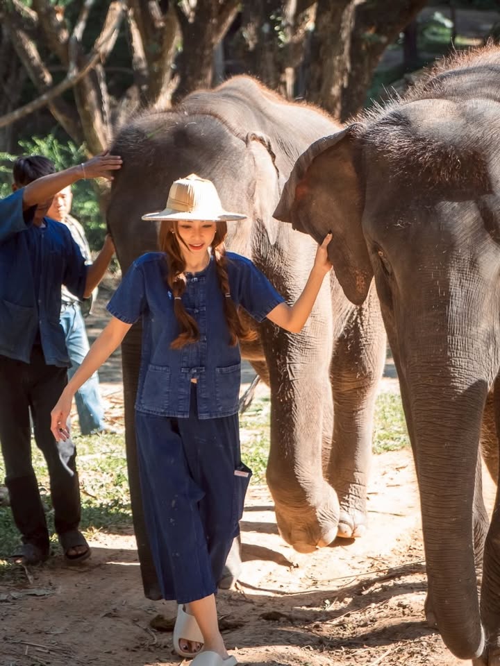 เป้ย - ปานวาด เหมมณี