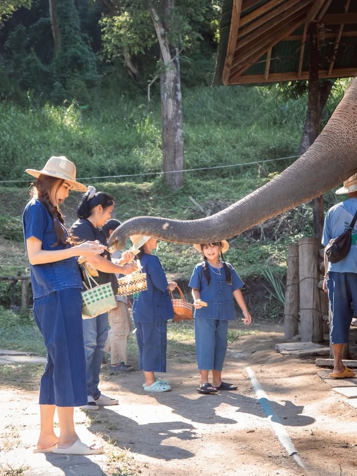 เป้ย - ปานวาด เหมมณี