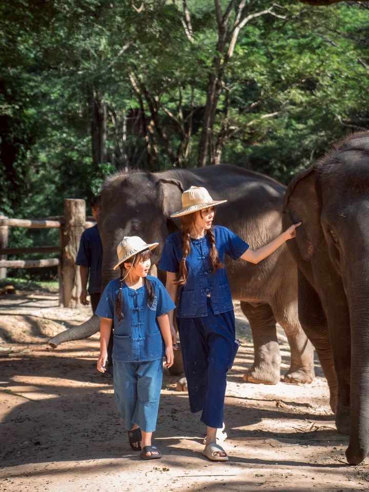 เป้ย - ปานวาด เหมมณี