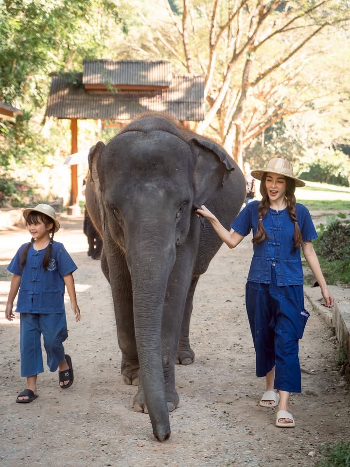 เป้ย - ปานวาด เหมมณี